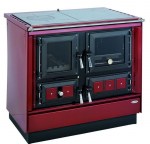 angielka-westfalka-bordowa